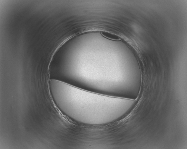 X0000076431145200610060953
