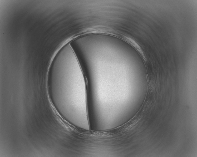 X0000076431146200610060953