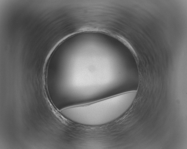 X0000076431148200610060953
