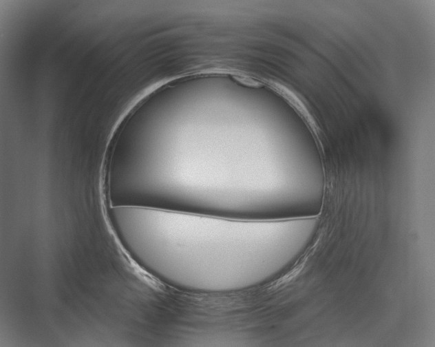 X0000076431149200610060953