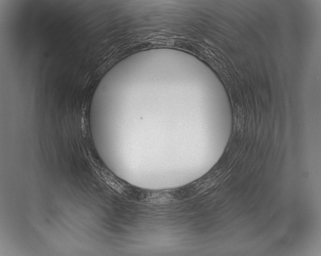 X0000076431154200610060952