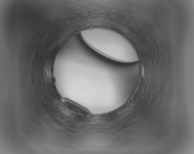 X0000076431155200610060952