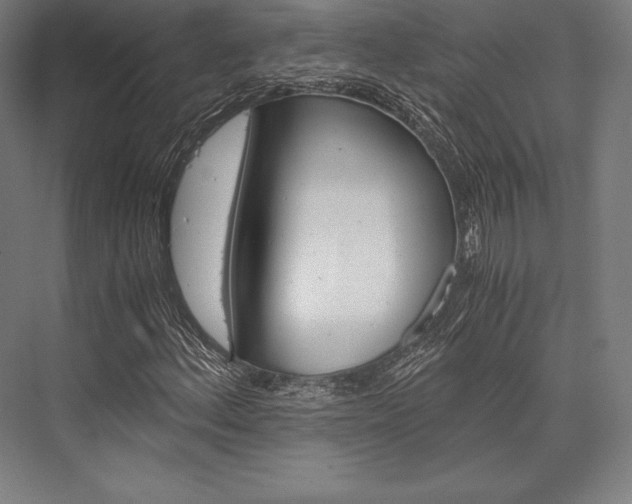 X0000076431156200610060952