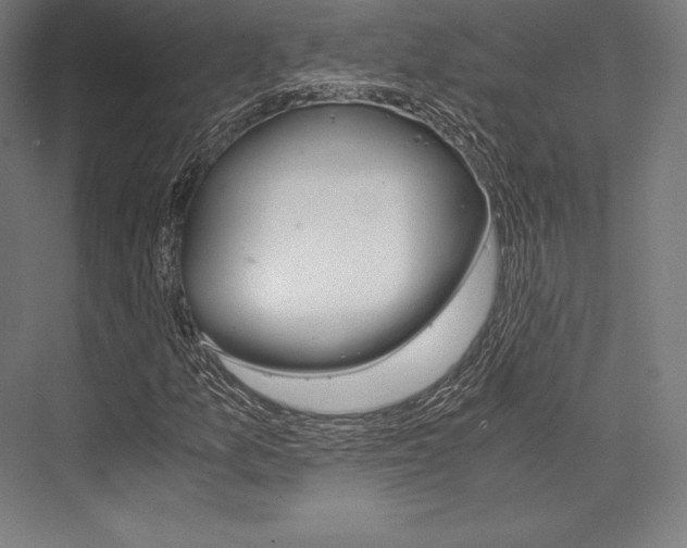 X0000076431157200610060952