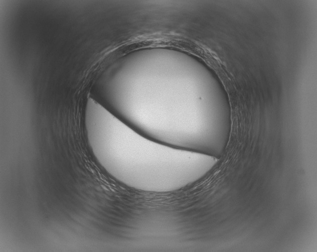 X0000076431158200610060952