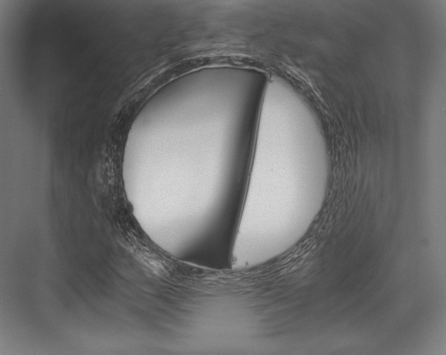 X0000076431159200610060952