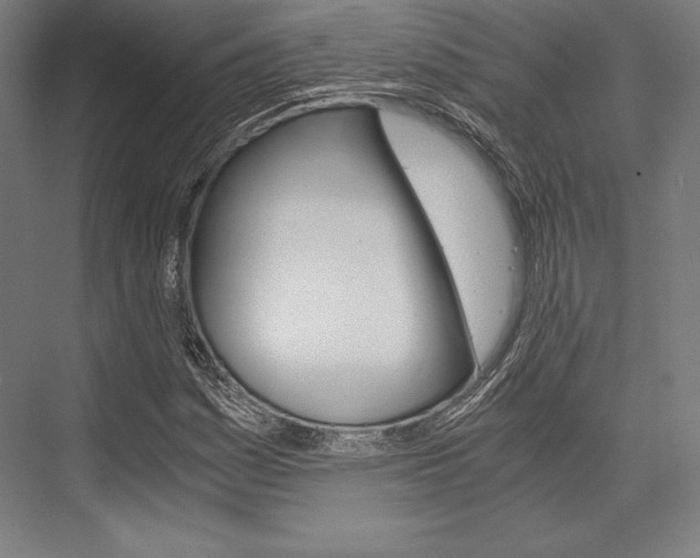 X0000076431161200610060952