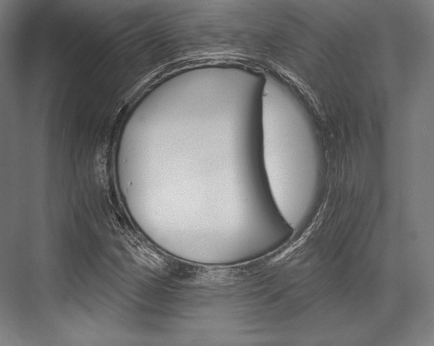 X0000076431162200610060952