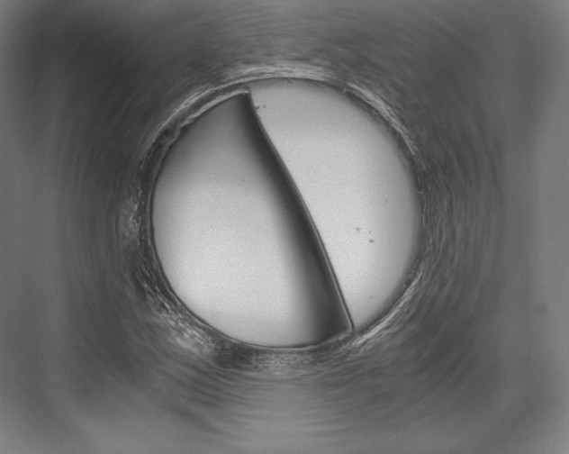 X0000076431163200610060952
