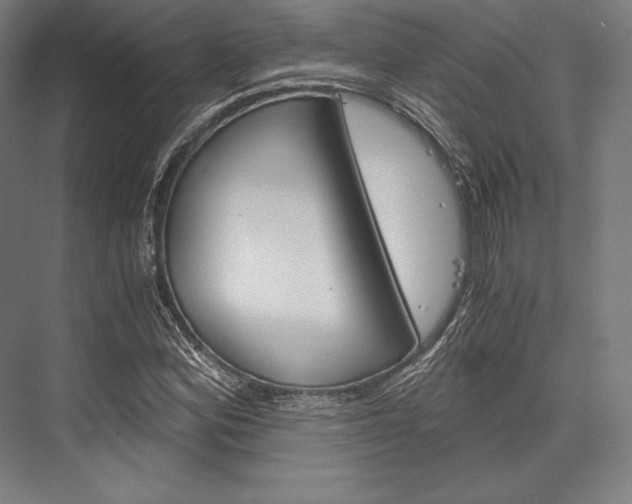 X0000076431164200610060952