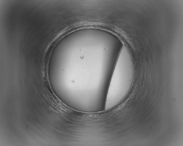 X0000076431165200610060952