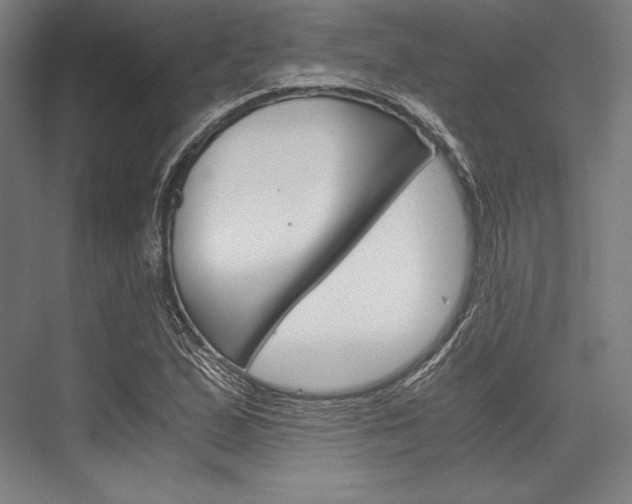 X0000076431167200610060952