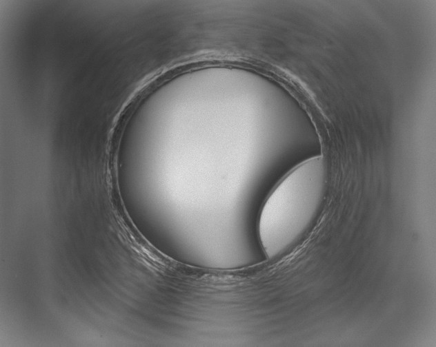 X0000076431168200610060952