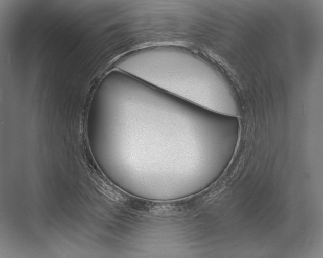 X0000076431169200610060952