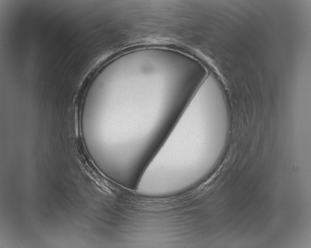 X0000076431171200610060952