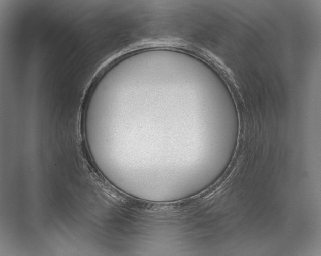 X0000076431174200610060951