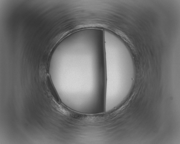 X0000076431177200610060951