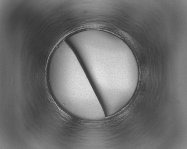 X0000076431178200610060951