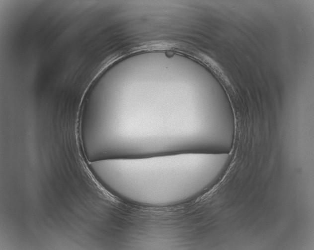 X0000076431186200610060951
