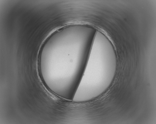 X0000076431187200610060951