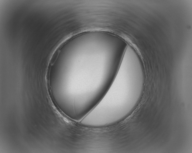 X0000076431189200610060951