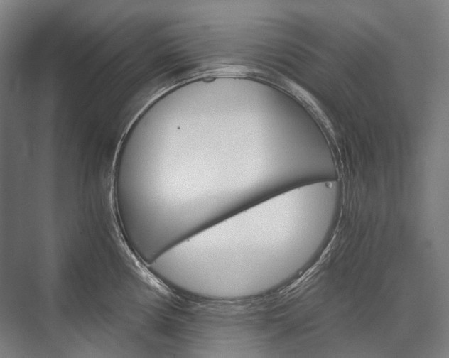X0000076431194200610060951