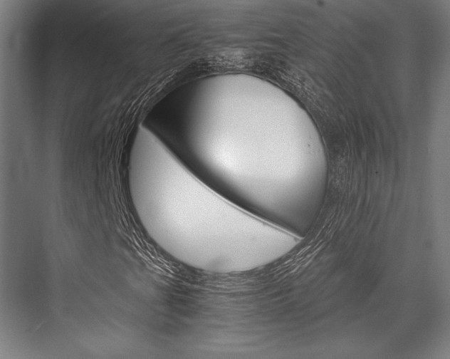 X0000076431201200610060950