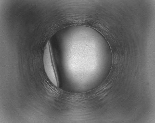 X0000076431202200610060950