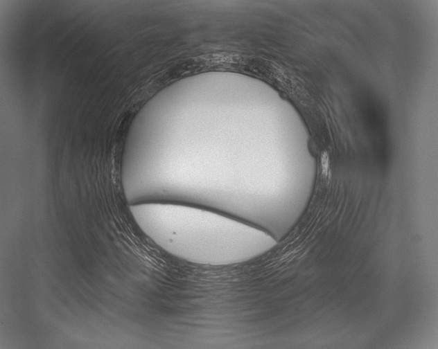 X0000076431203200610060950
