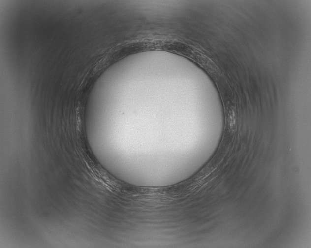 X0000076431204200610060950