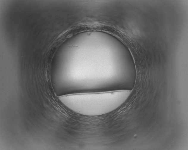 X0000076431205200610060950