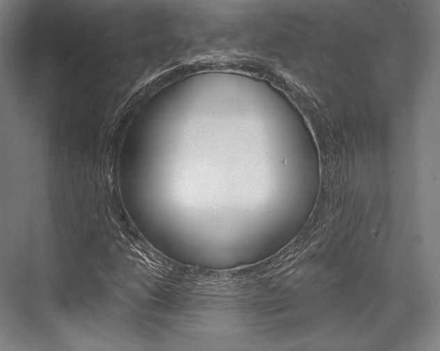X0000076431206200610060950