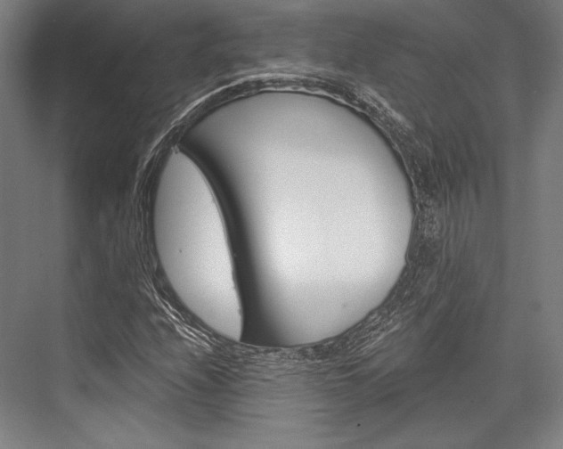 X0000076431208200610060950