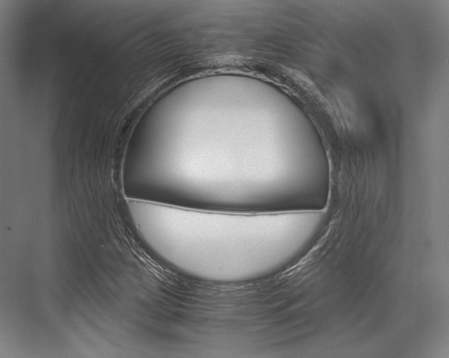 X0000076431209200610060950