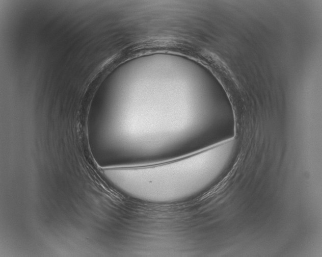 X0000076431210200610060950
