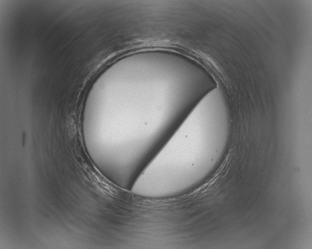 X0000076431212200610060950