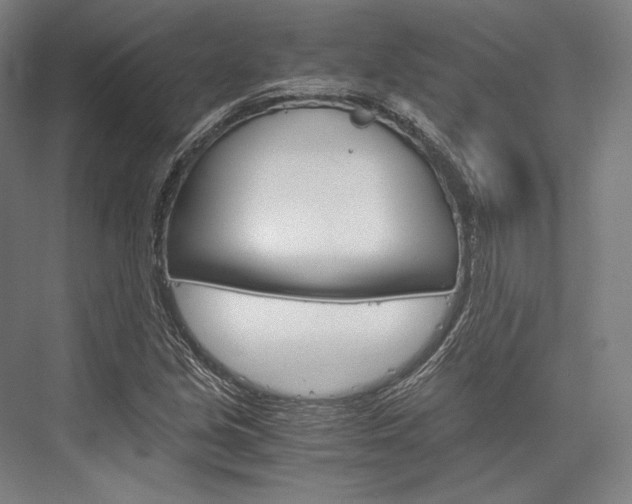X0000076431213200610060950