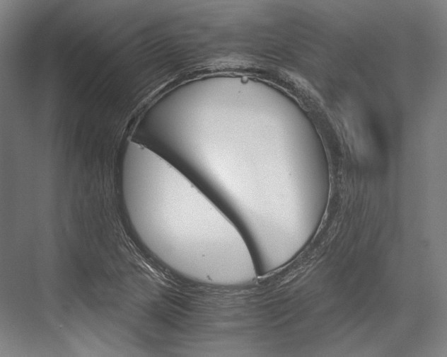 X0000076431217200610060950