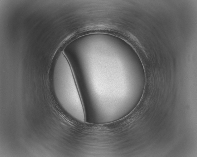 X0000076431218200610060951