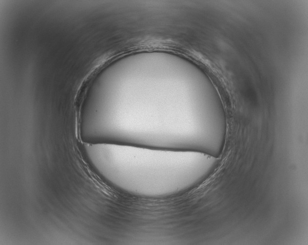 X0000076431219200610060951