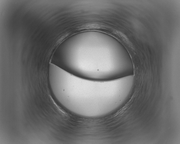 X0000076431225200610060951