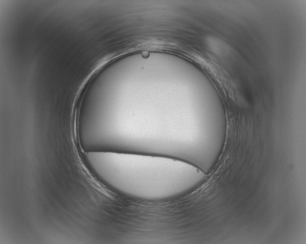 X0000076431227200610060951