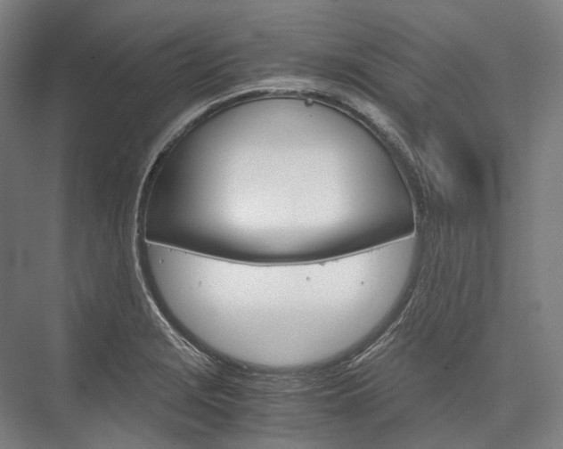 X0000076431229200610060951