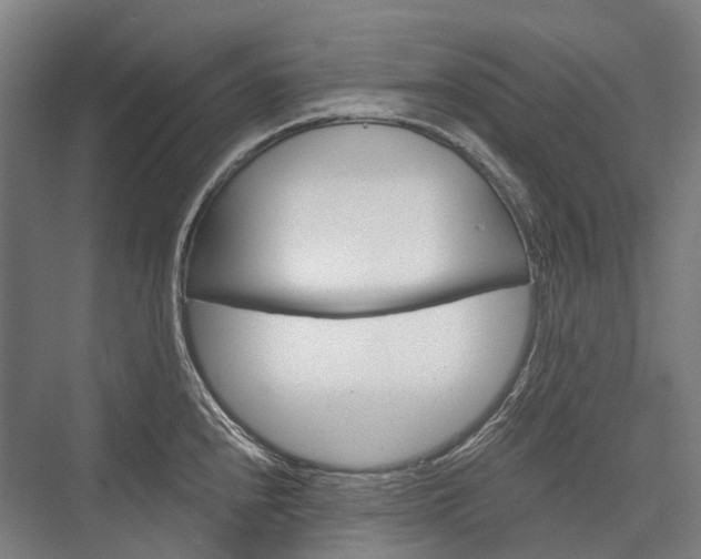 X0000076431240200610060951