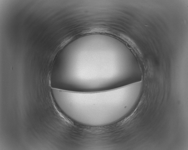 X0000076431241200610060951