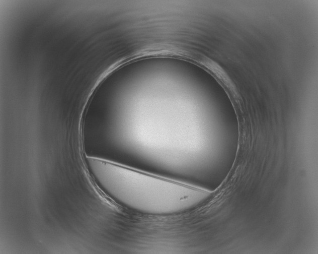 X0000076431242200610060951