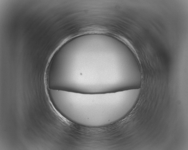 X0000076431243200610060951