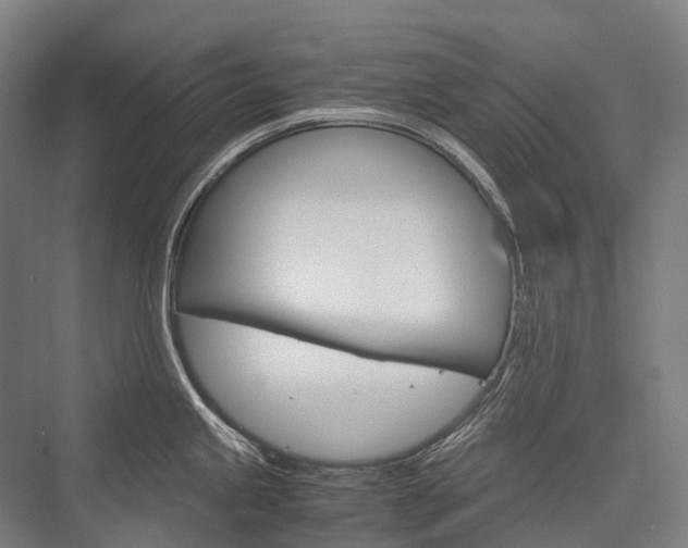 X0000076431245200610060951
