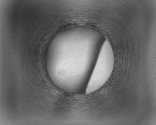 X0000076431249200610060950