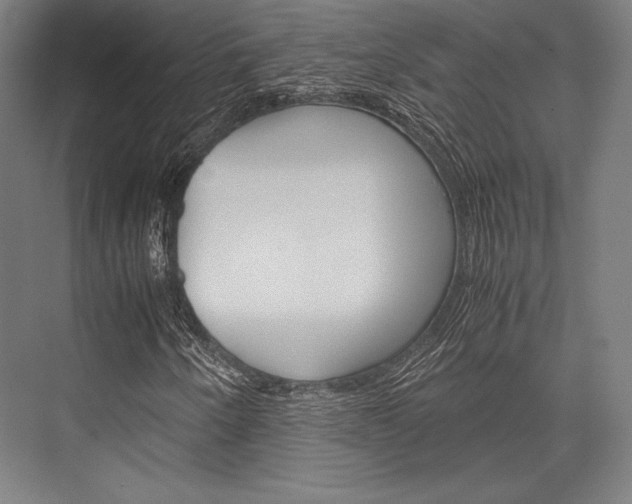 X0000076431250200610060950